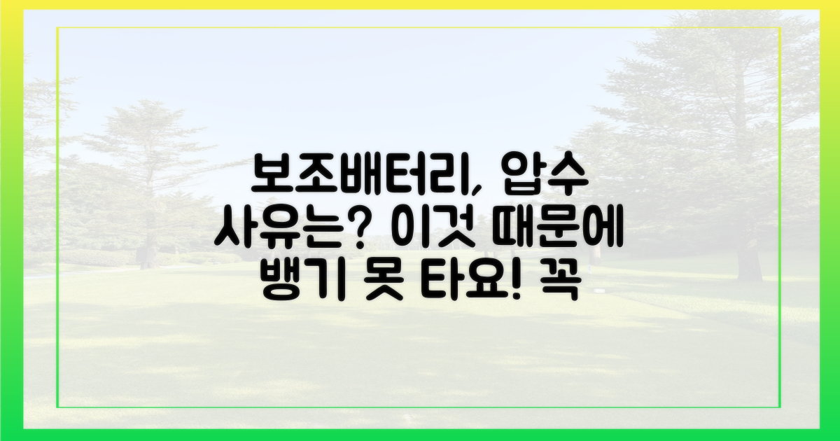 보조배터리, 압수되는 이유는?