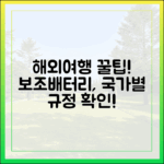 해외여행 필수품 보조배터리, 국가별 반입 규정도 다를까?