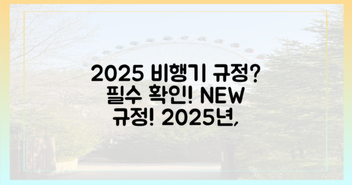 비행기 규정, 2025년은?