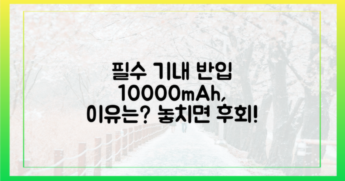 10000mAh, 왜 기내 반입이 중요할까?