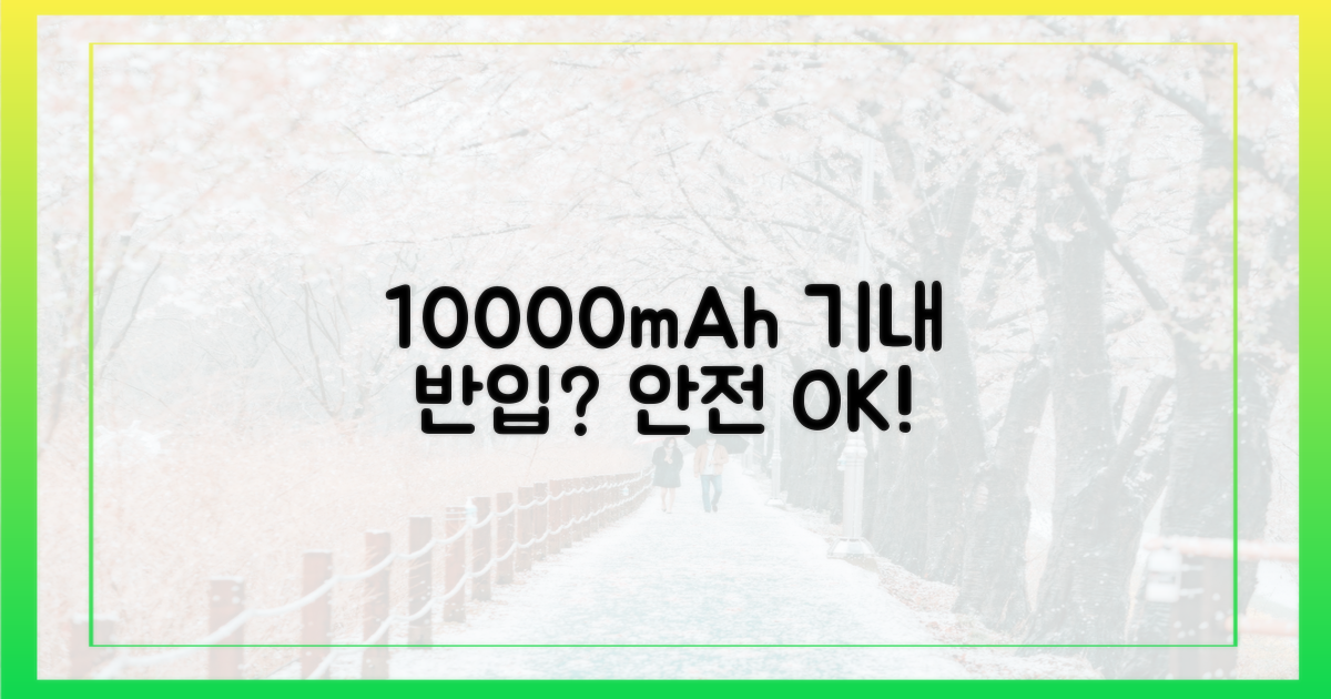 10000mAh, 안전하게 기내 반입하려면?