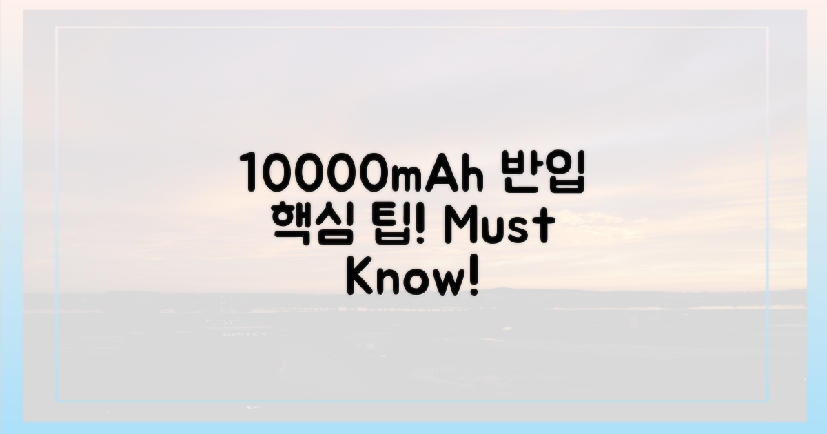 전문가가 알려주는 10000mAh 반입 팁은?