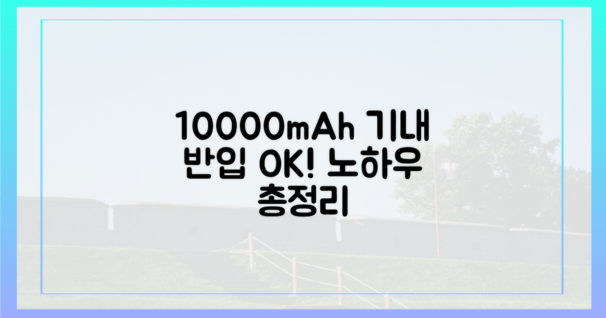 10000mAh, 기내 반입 노하우 총정리!