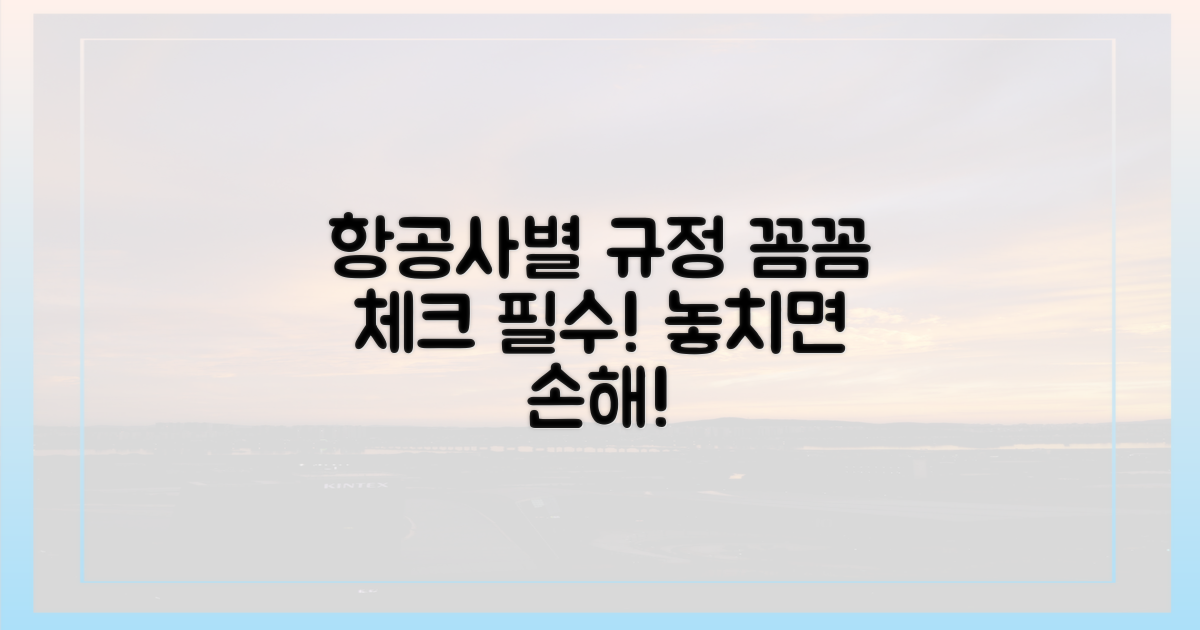 항공사마다 다른 규정, 꼼꼼히 체크!