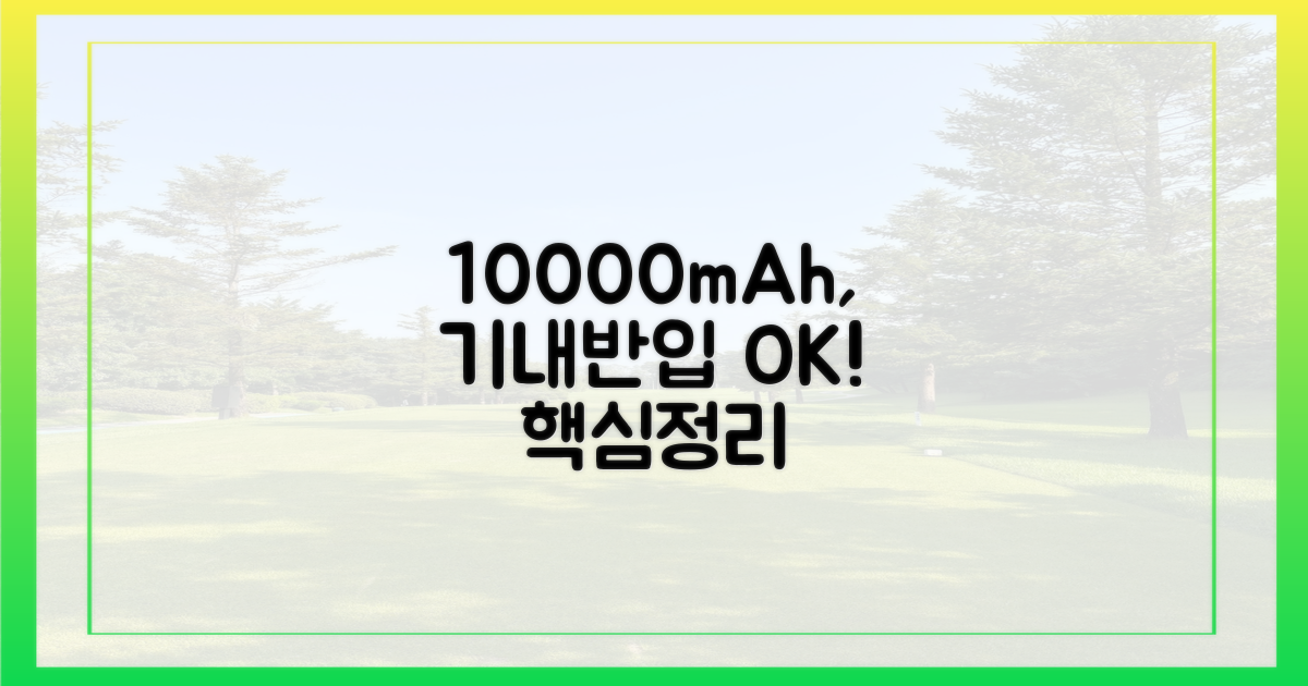 10000mAh 보조배터리, ✈️ 기내 반입 핵심 정리
