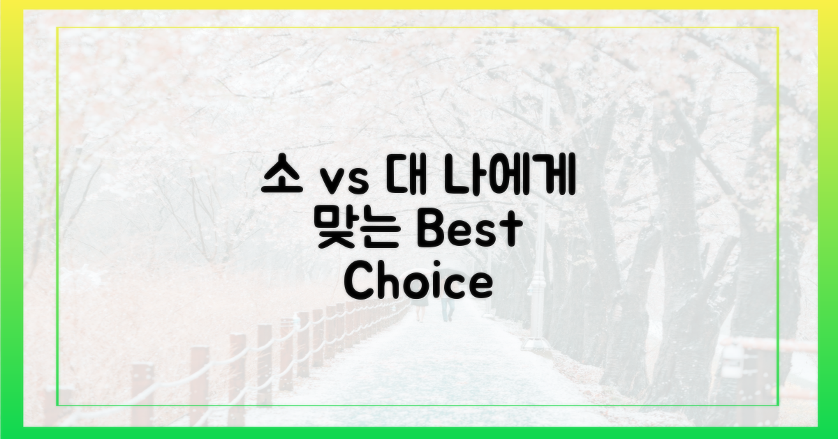 소규모 vs 대용량, 나에게 맞는 선택