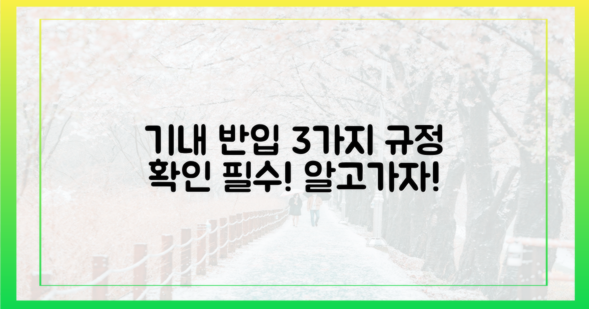 3가지 기내 반입 규정