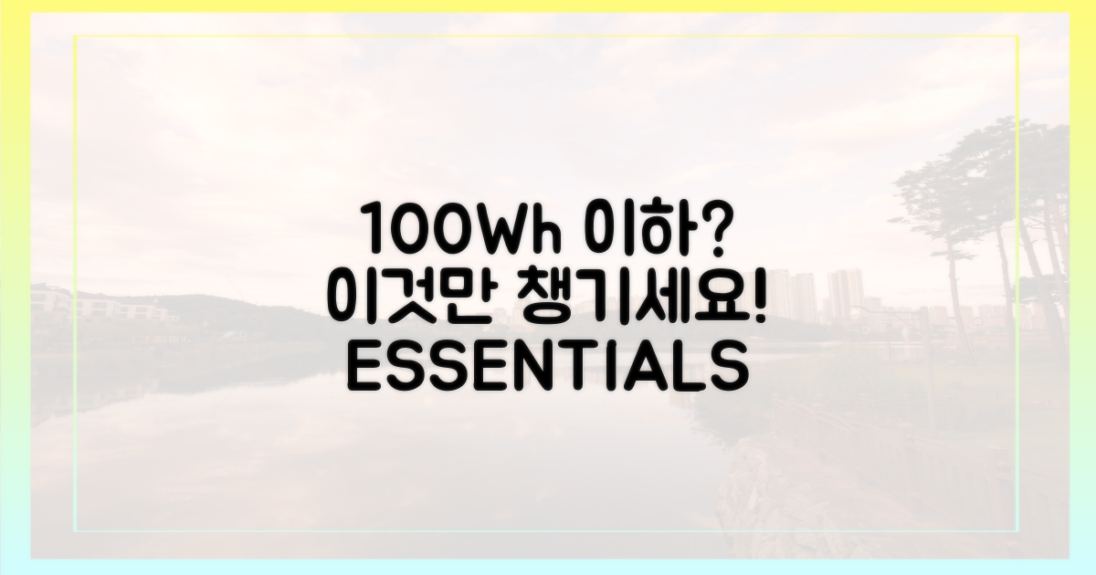 100Wh 이하 필수