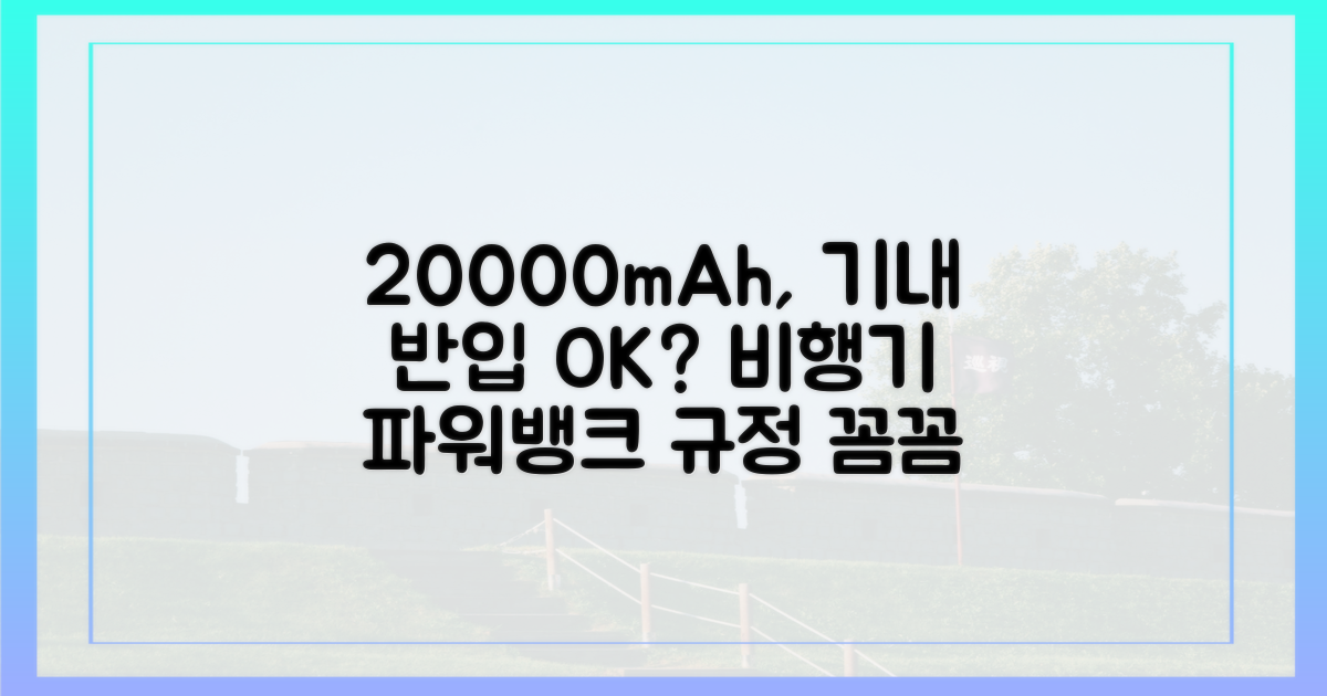 20000mAh, 비행기 반입 가능할까?