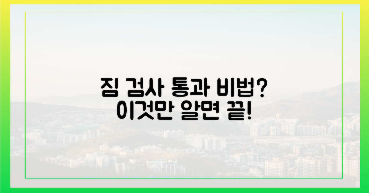 💯 짐 검사 통과, 비밀은 여기에?