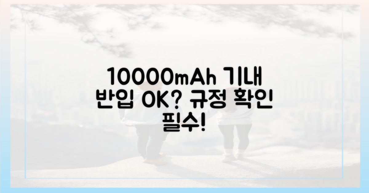 10000mAh, 항공 규정 확인 필수