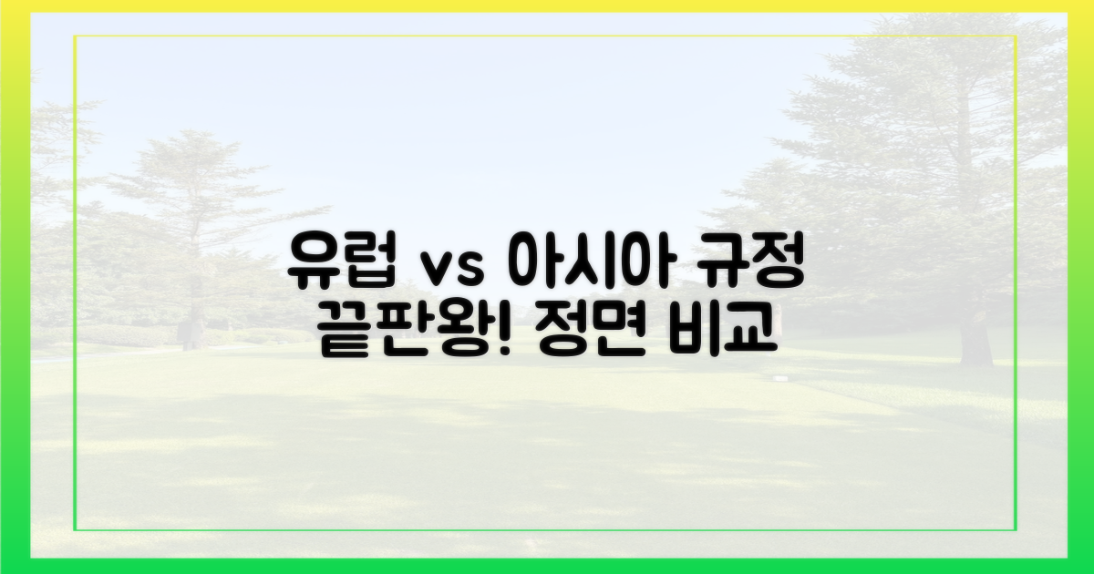 유럽 vs 아시아 규정 비교