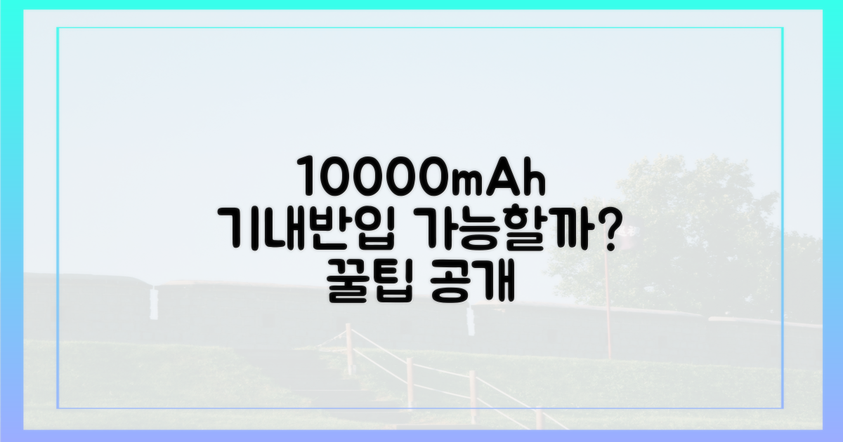10000mAh, 기내 반입 가능할까?