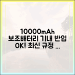 10000mAh 보조배터리, 안심하고 비행기 타는 방법 (최신 규정 기반)