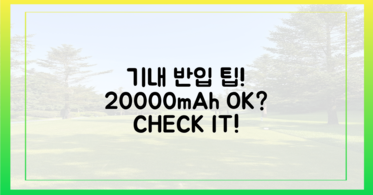 기내 반입, 20000mAh 팁은?