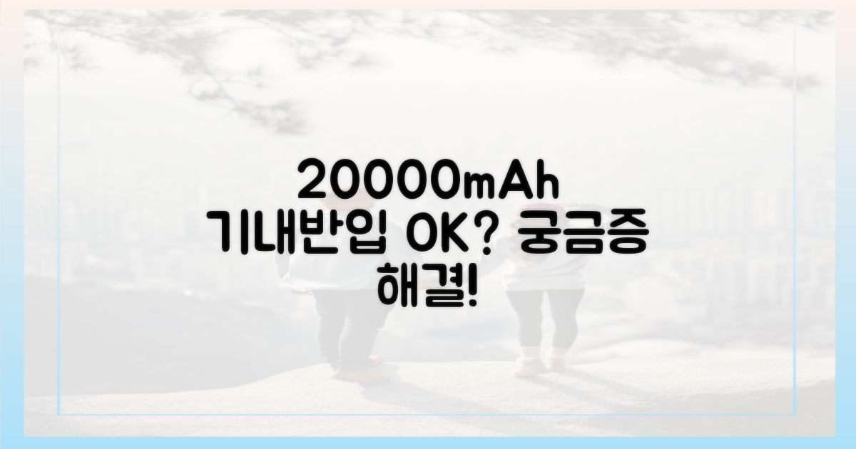 20000mAh, 기내 반입 가능한 이유?