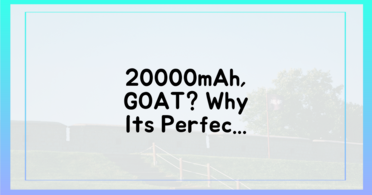 왜 20000mAh가 최적일까?