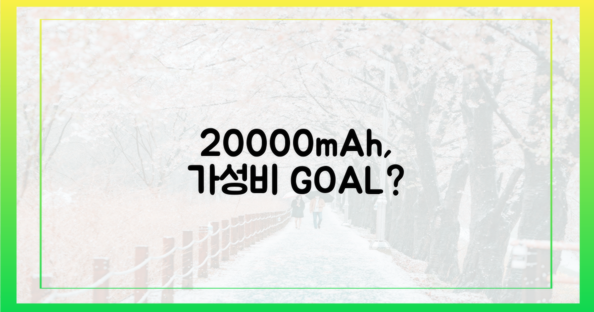 20000mAh, 현명한 선택일까?