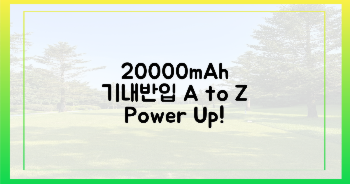 20000mAh 배터리, 기내 반입 A to Z