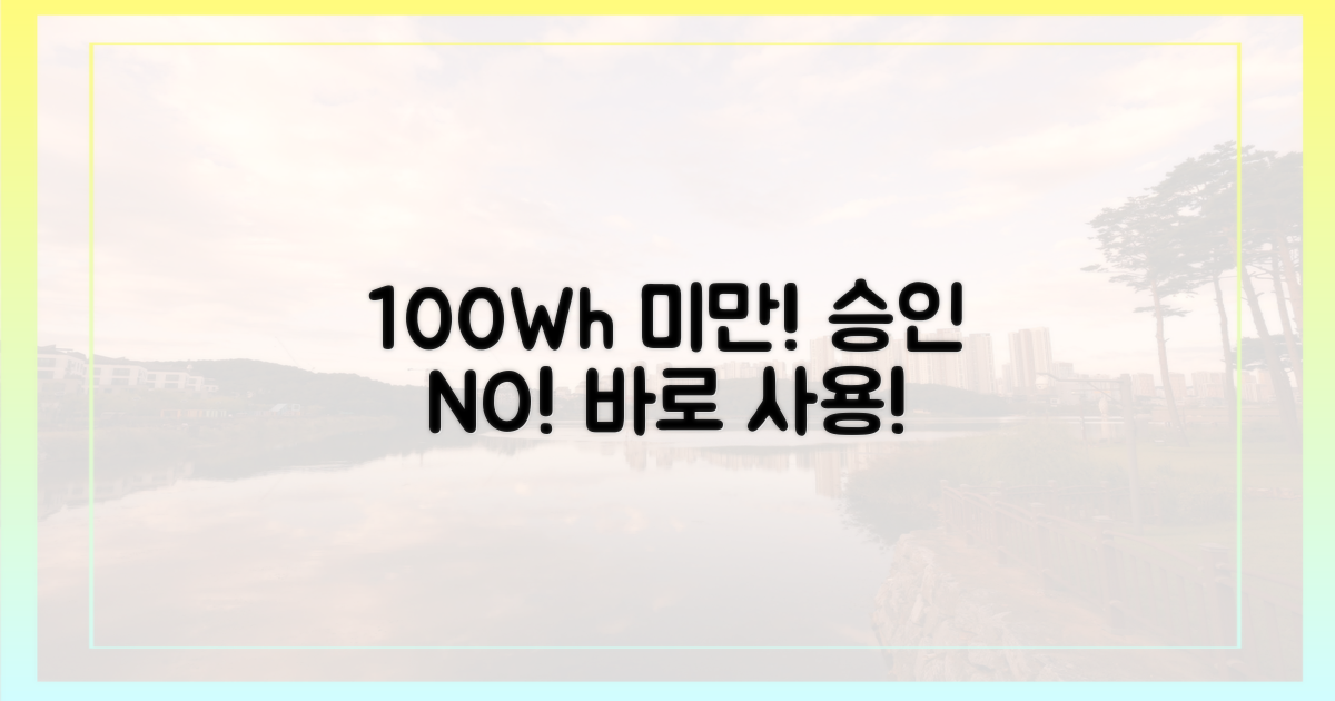 100Wh 미만, 별도 승인 불필요