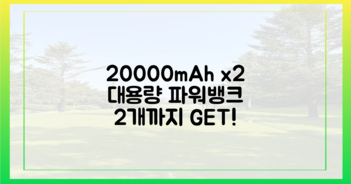 20000mAh, 2개까지 가능