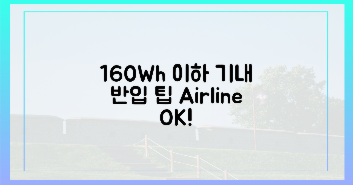 160Wh 이하, 항공사 확인 필수