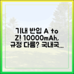10000mAh 보조배터리, 국내선 및 국제선 기내 반입 규정 차이점은?