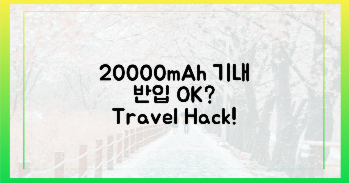 20000mAh, 기내 반입 가능할까?