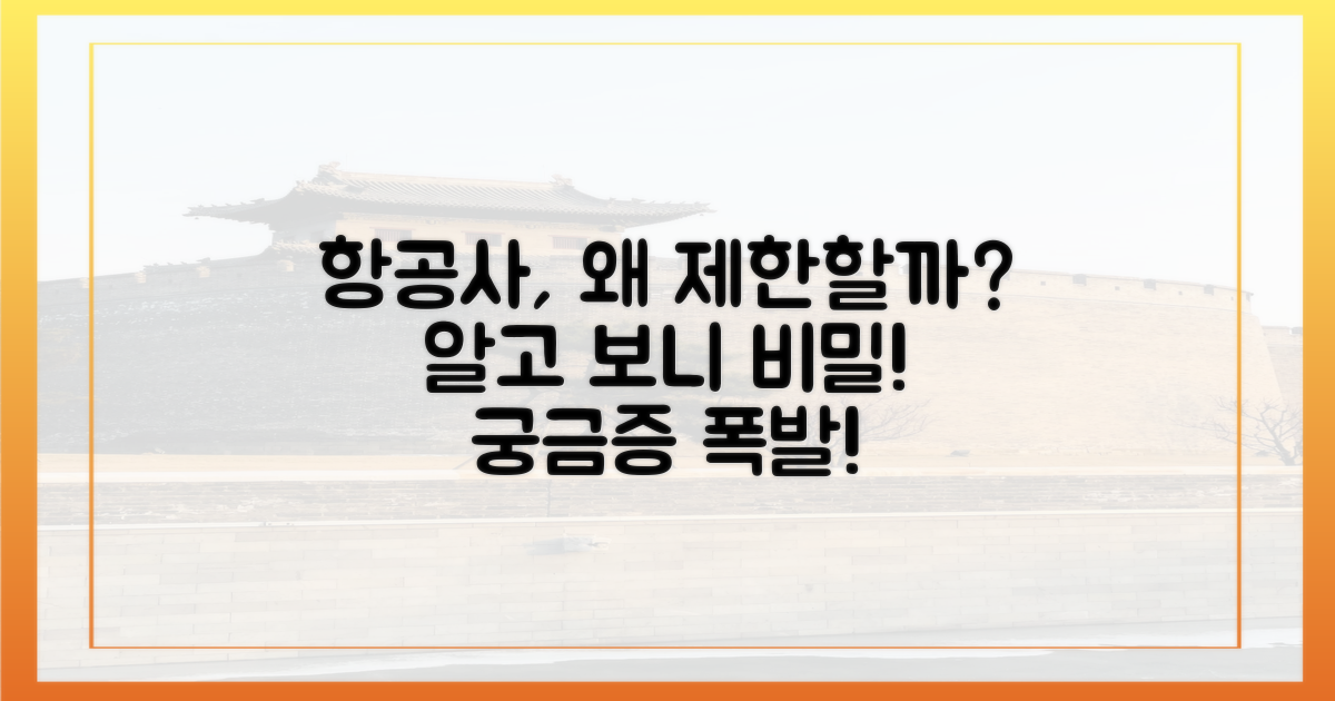왜 항공사는 제한을 둘까?