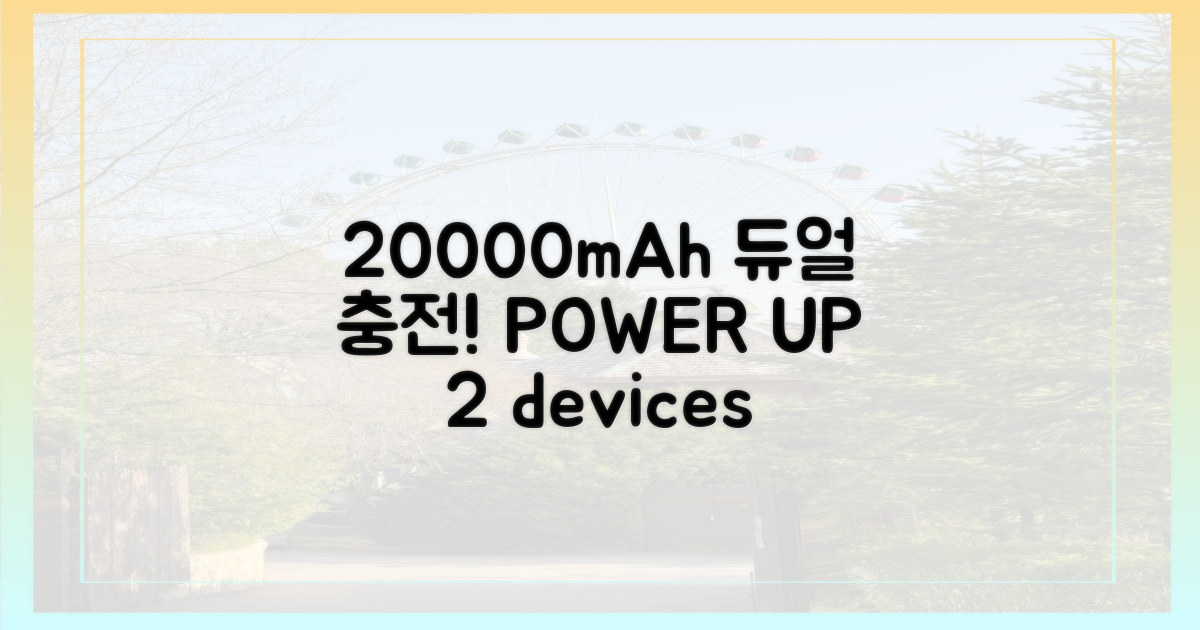 20000mAh, 2대까지 가능