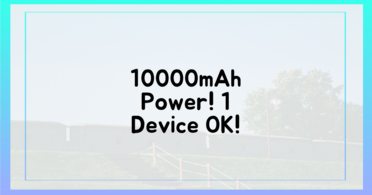 10000mAh, 1대까지 허용