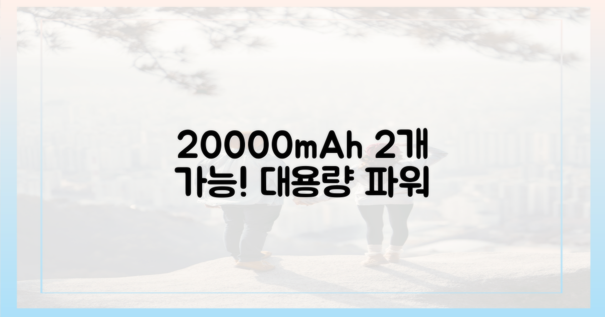 20000mAh, 2개까지 가능