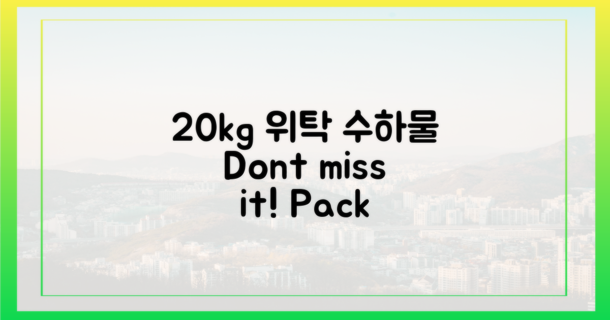 20kg 이하 위탁 수하물