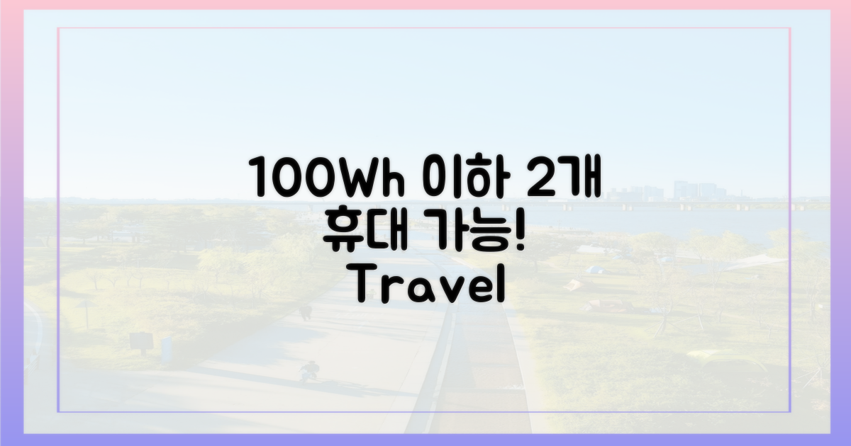 100Wh 이하, 2개 반입