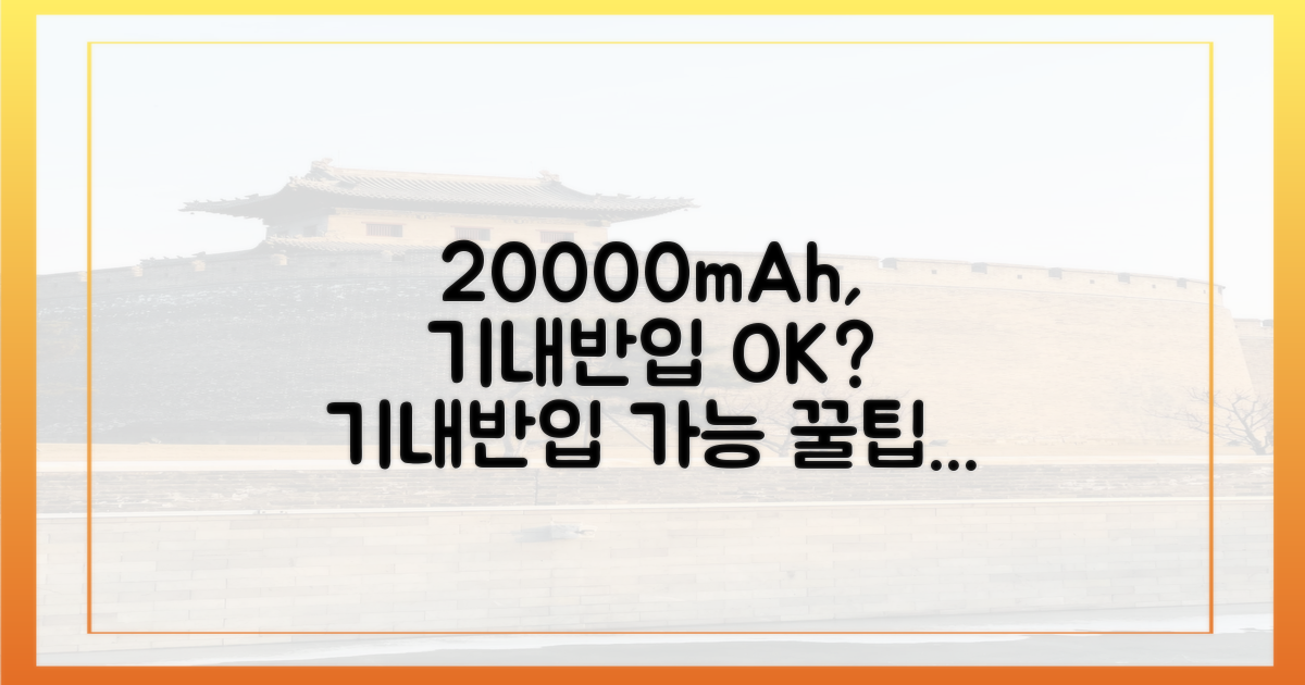 20000mAh, 기내반입 가능할까?