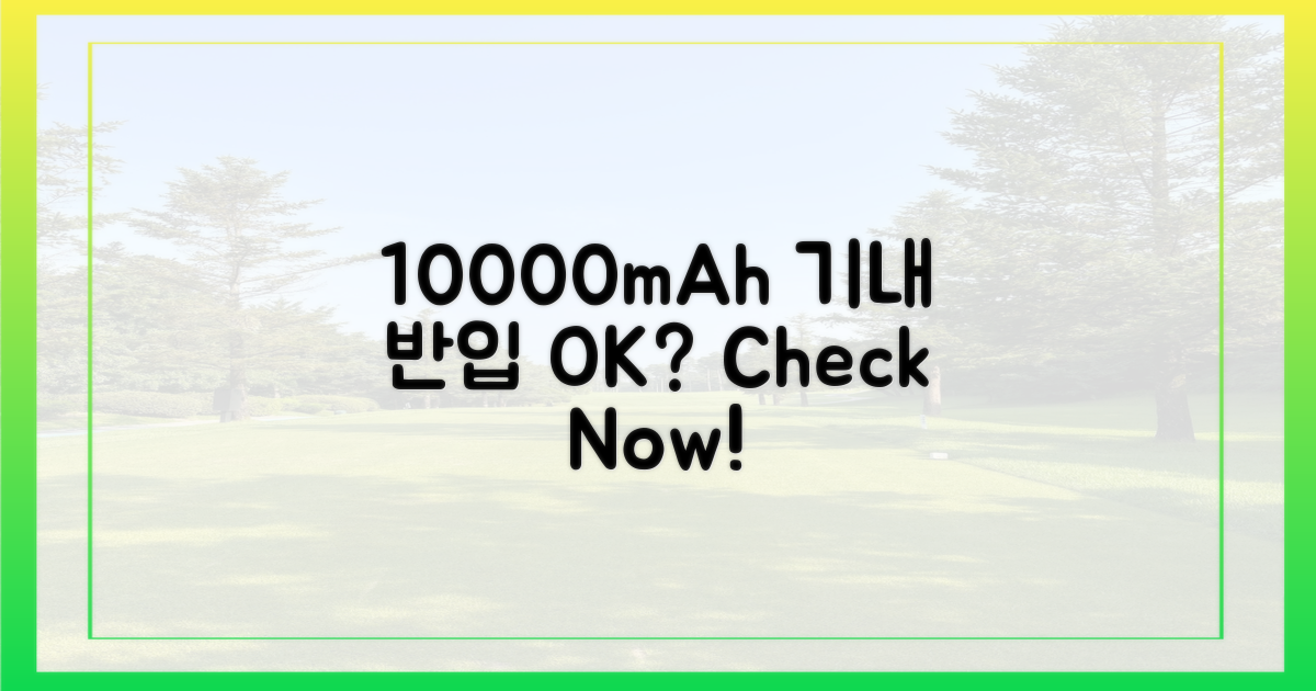 10000mAh, 기내 반입 허용량일까?