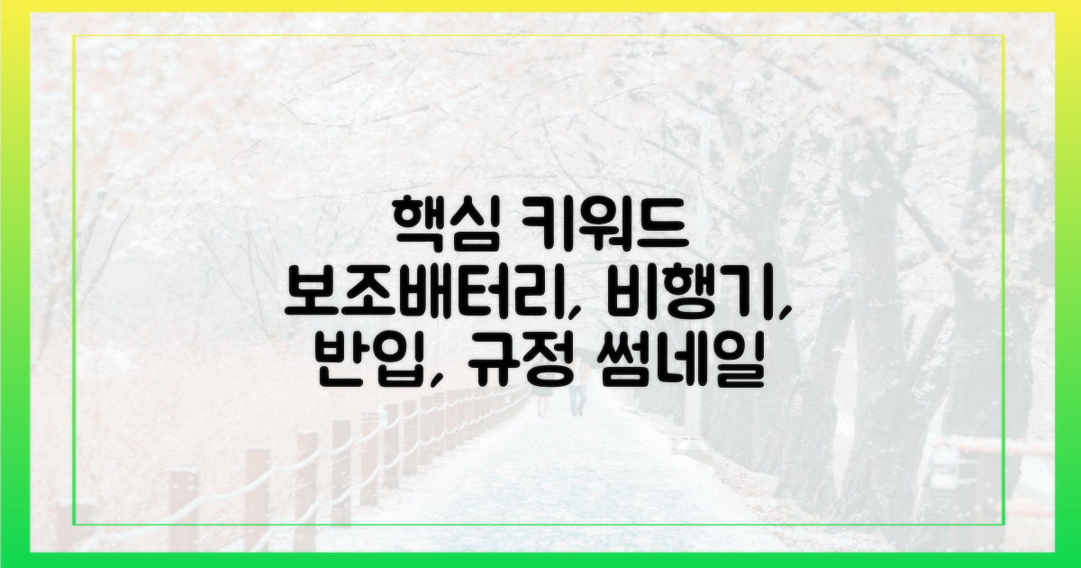 보조배터리, 비행기 반입 가능한가요?