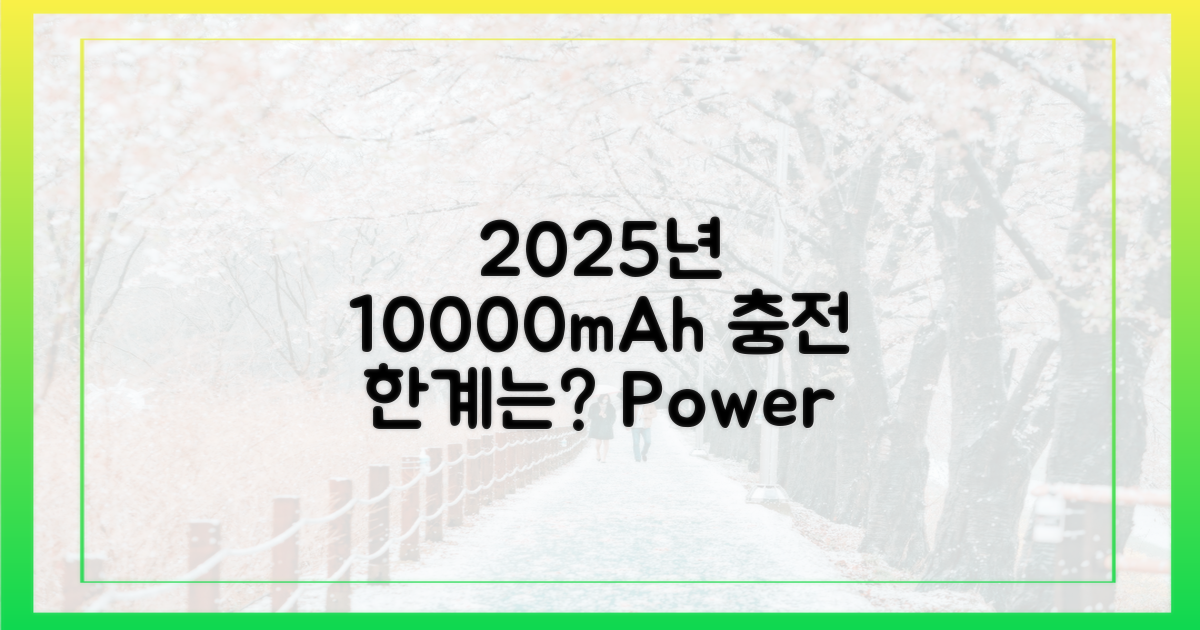 2025년, 10000mAh 제약은?
