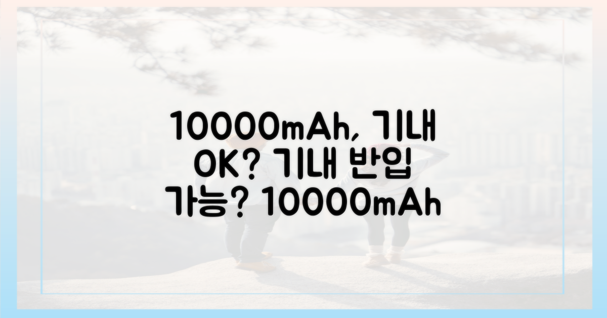10000mAh, 기내 반입 가능 여부