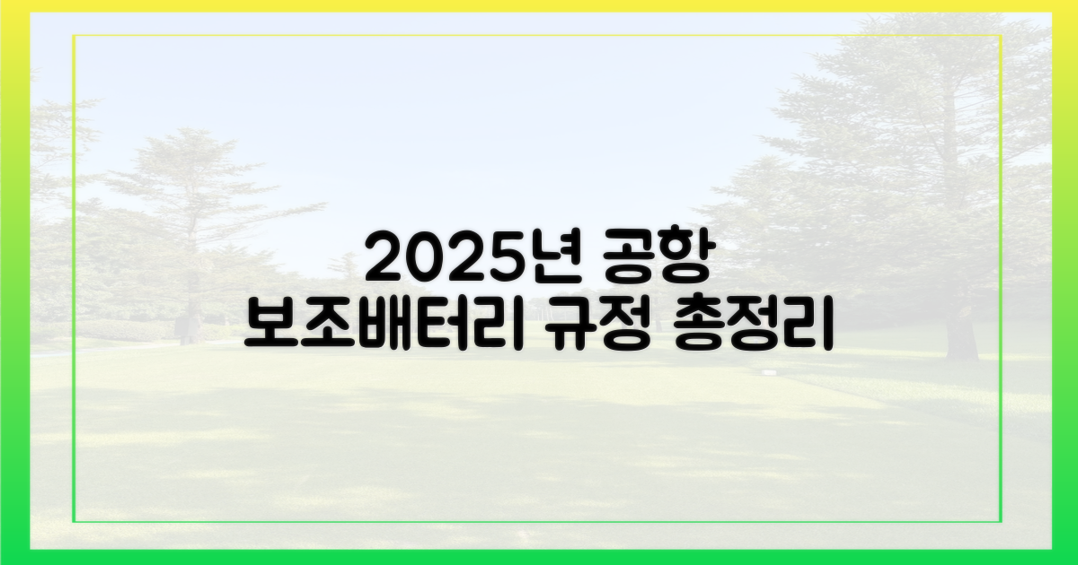 2025년 공항 보조배터리 규정 총정리