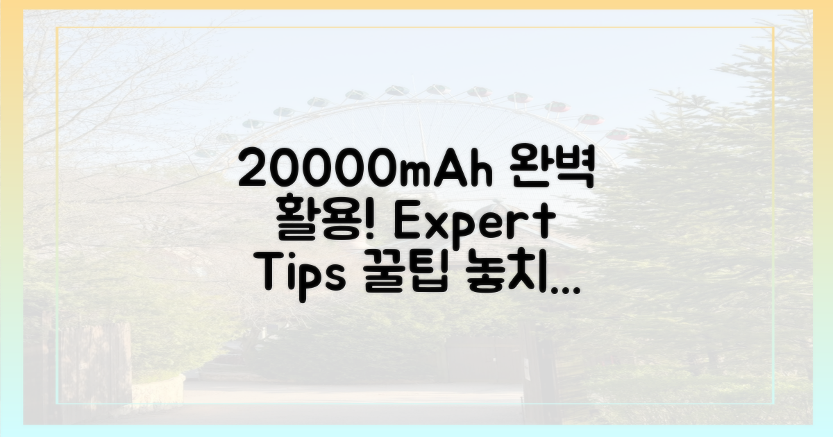 전문가의 팁, 20000mAh 완벽 활용법은?