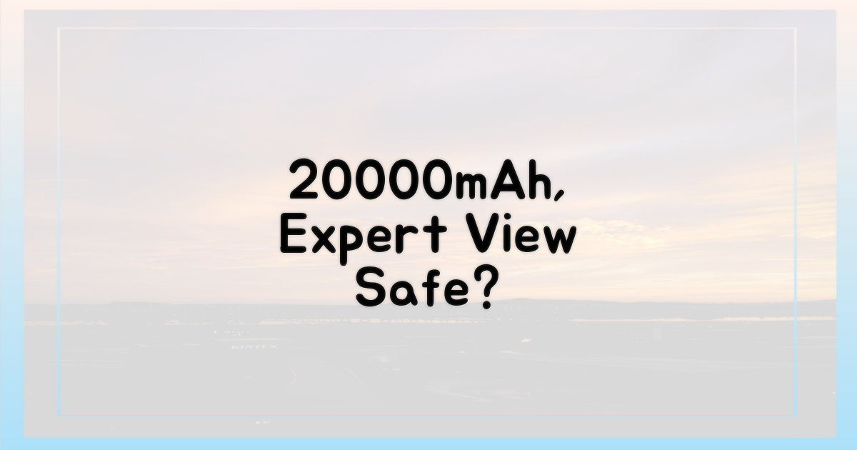 전문가의 눈으로 본 20000mAh, 안전할까?