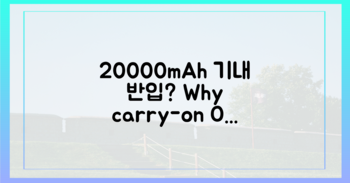 20000mAh, 왜 기내 반입 가능할까?