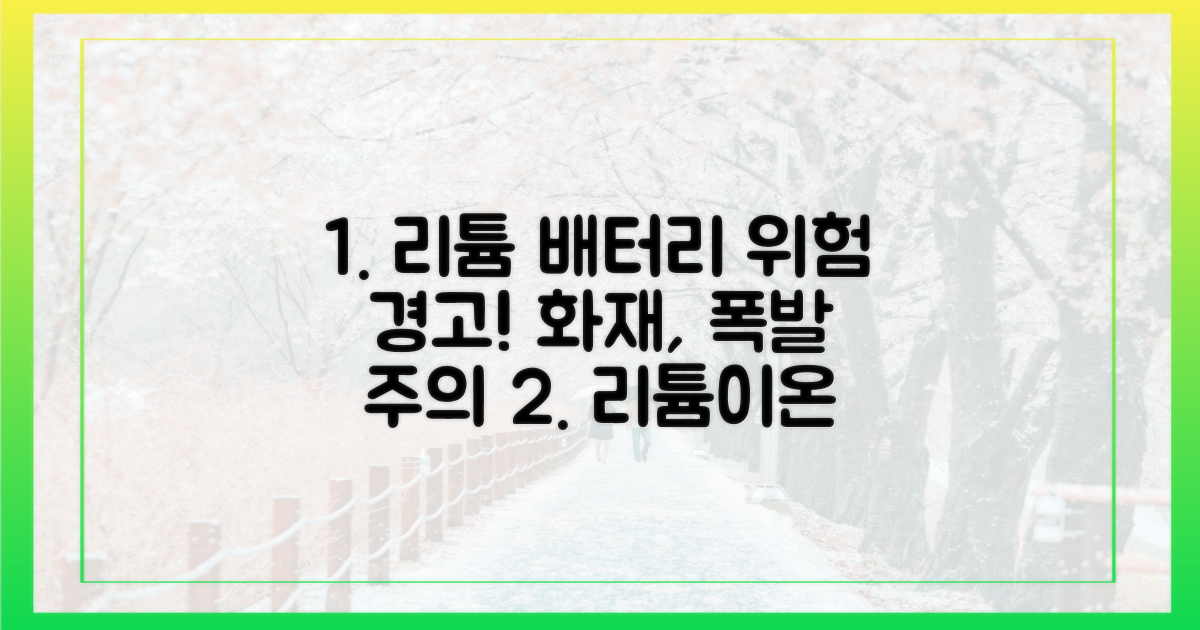 리튬이온 배터리 위험성