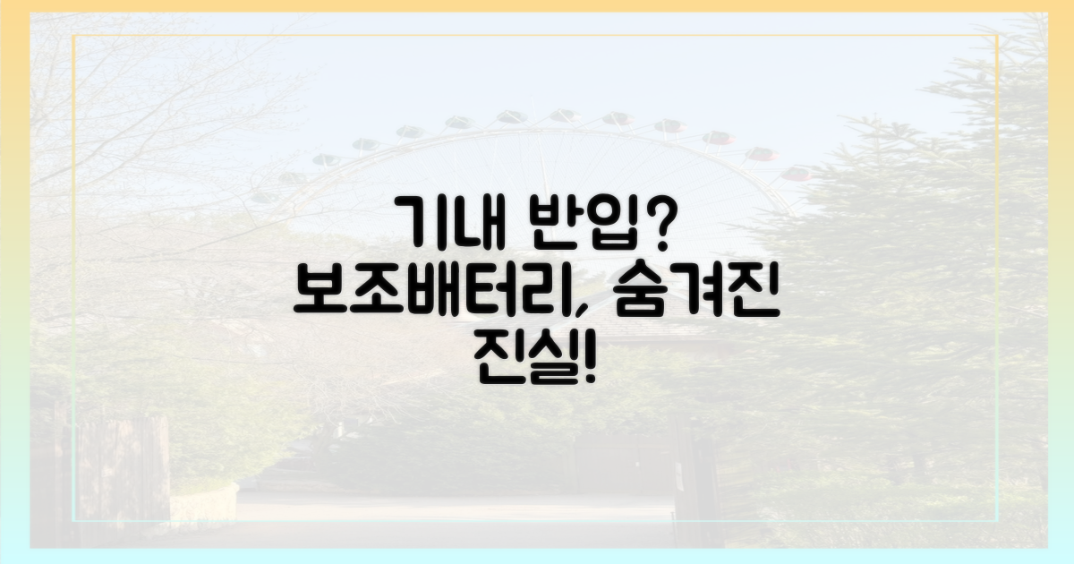 보조배터리, 기내에만?