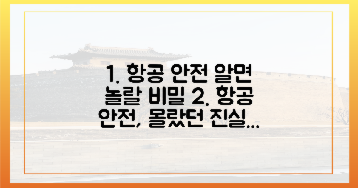 항공 안전 규정의 비밀