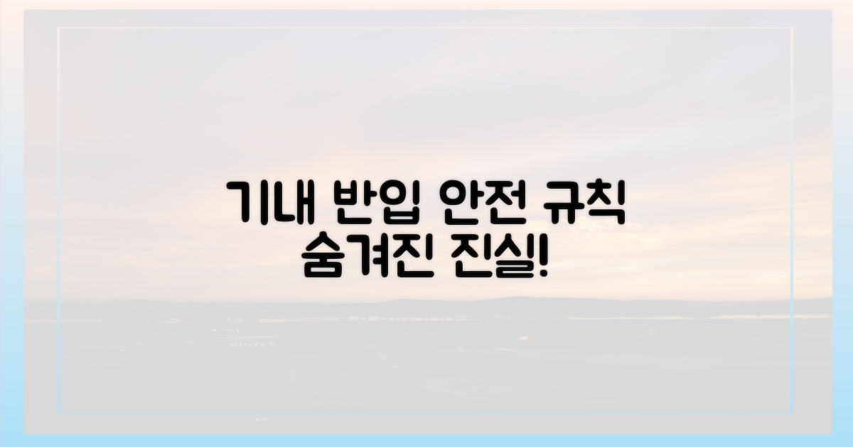 기내 반입, 안전 규칙의 진실