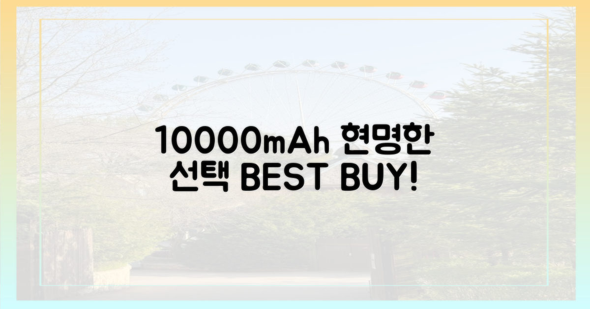 10000mAh, 합리적 선택 가이드