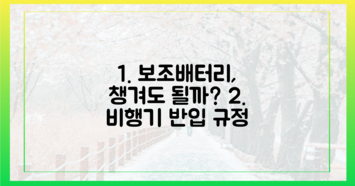 내 보조배터리 반입 가능할까?