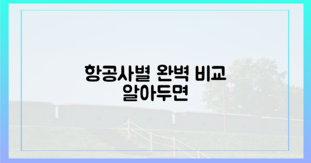 항공사별 차이점